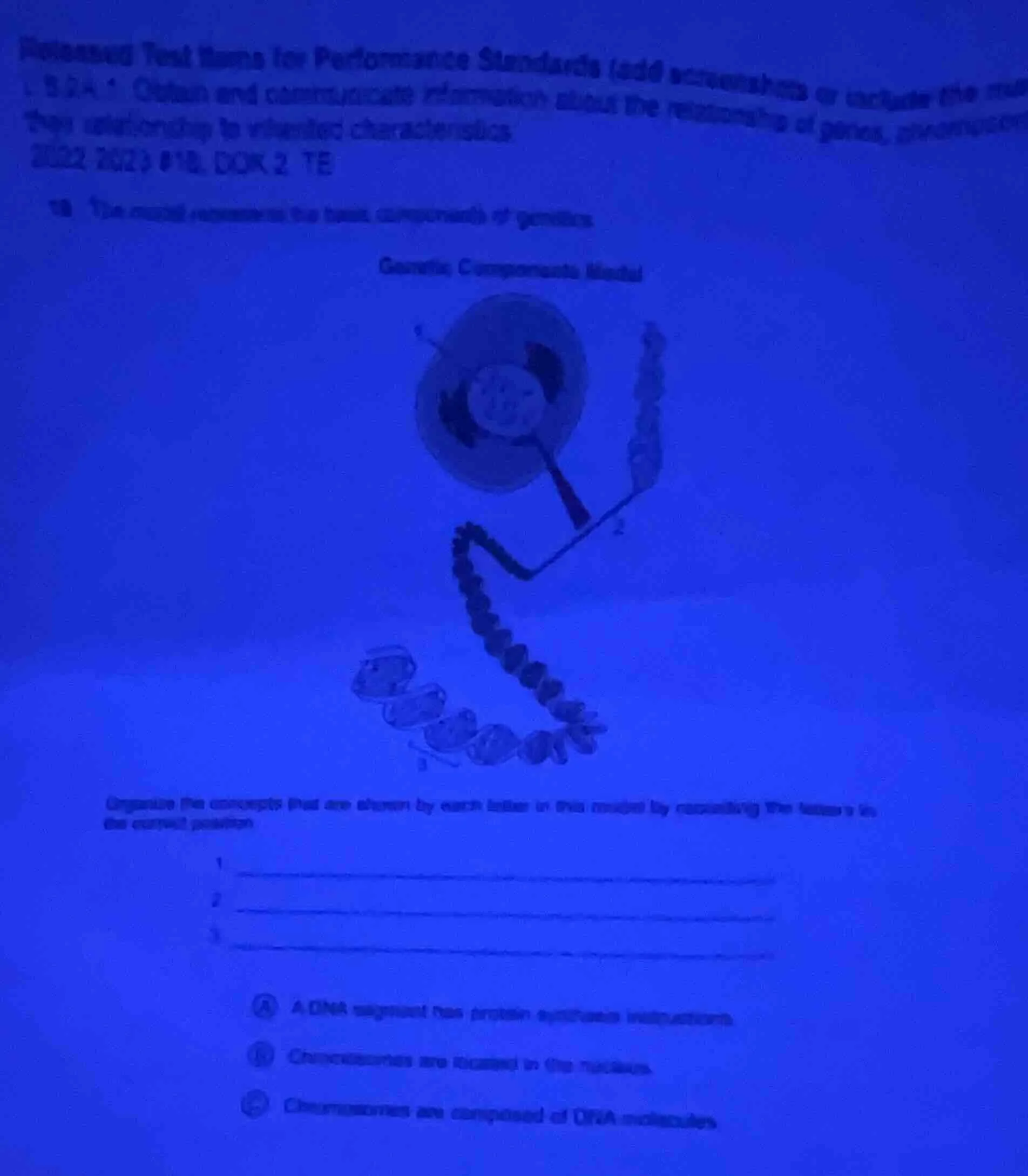 itemized test items for performance standards (add screenshots or inclu…