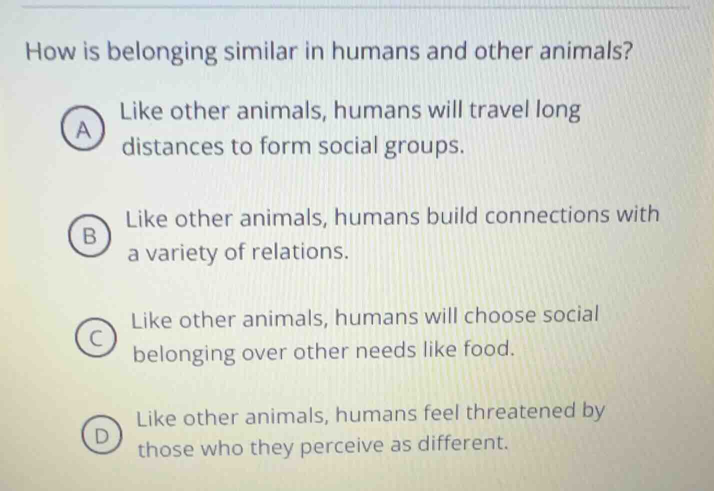 how is belonging similar in humans and other animals? a like other anim…