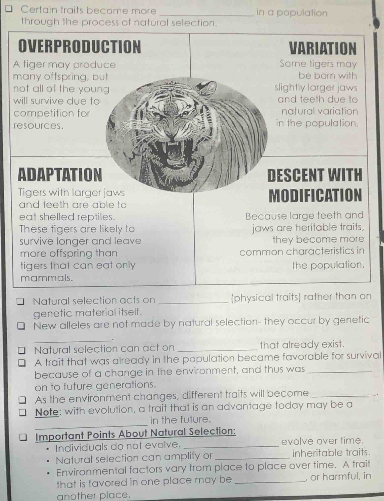certain traits become more __________ in a population through the proce…