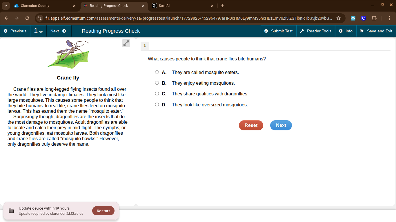 crane fly crane flies are long - legged flying insects found all over t…