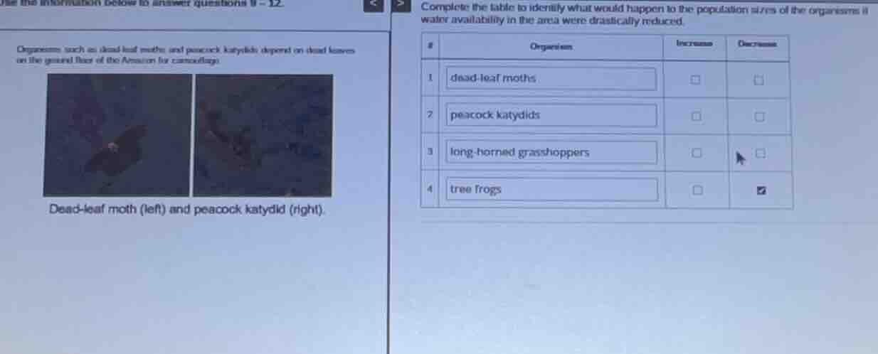 organisms such as dead - leaf moths and peacock katydids depend on dead…