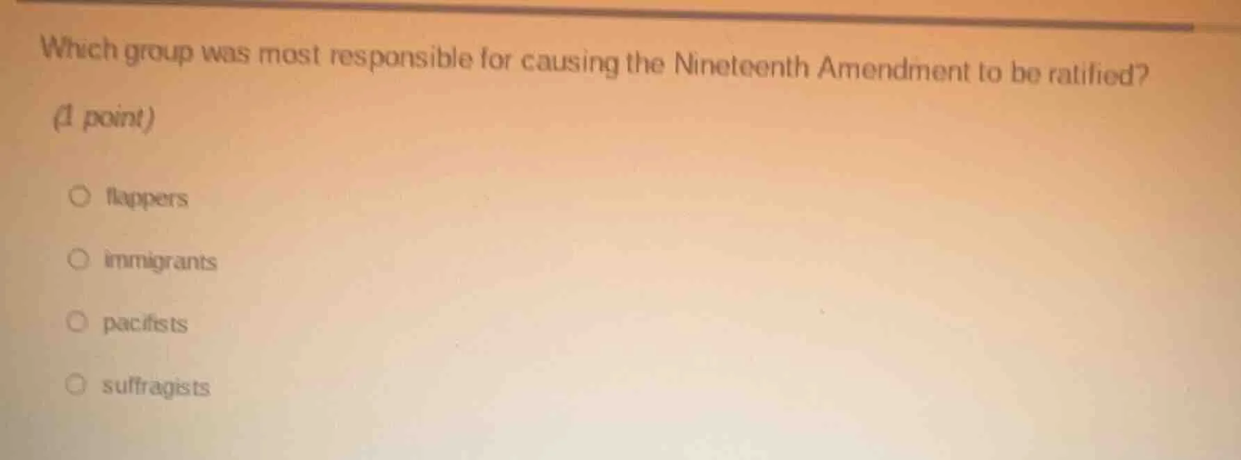 which group was most responsible for causing the nineteenth amendment t…