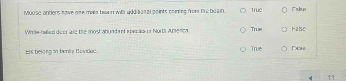 moose antlers have one main beam with additional points coming from the…