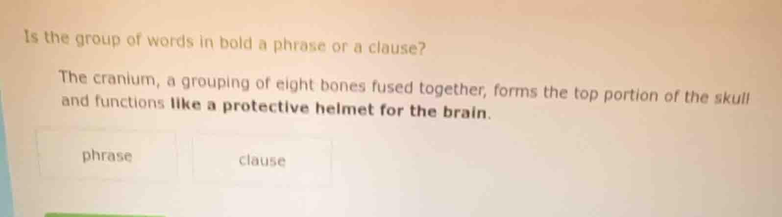 is the group of words in bold a phrase or a clause? the cranium, a grou…