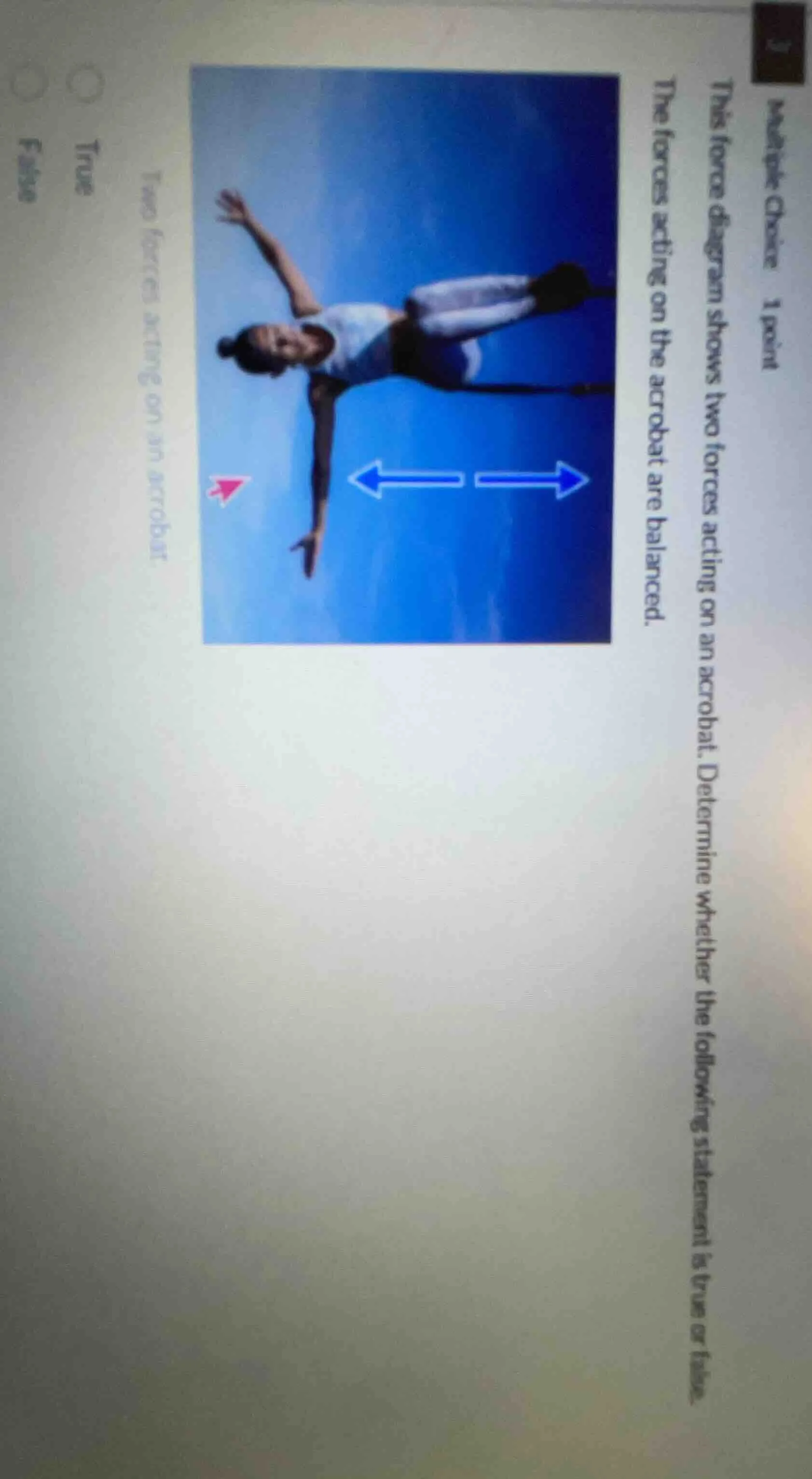 multiple choice 1 point this force diagram shows two forces acting on a…