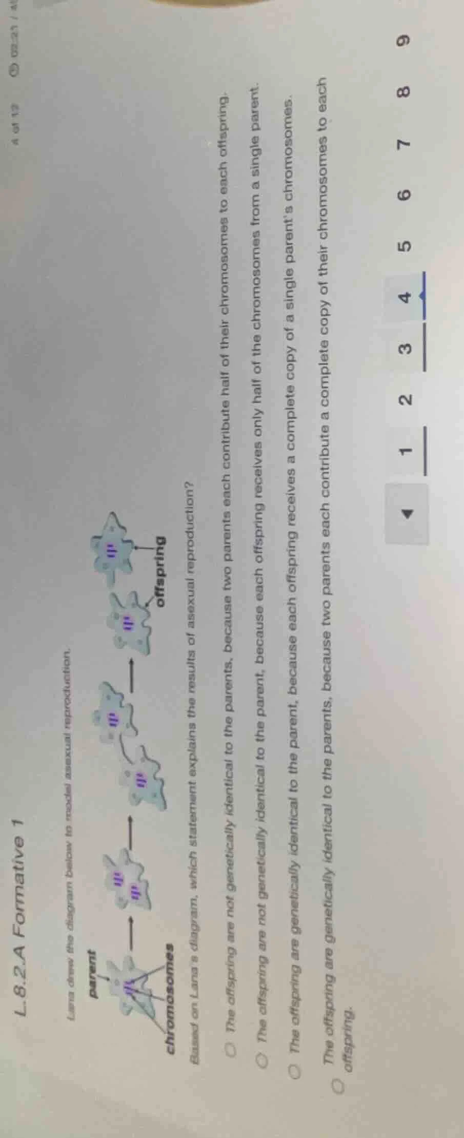 l.8.2.a formative 1 lana drew the diagram below to model asexual reprod…