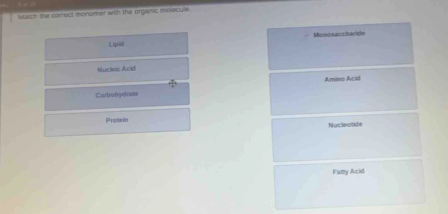 match the correct monomer with the organic molecule. lipid nucleic acid…
