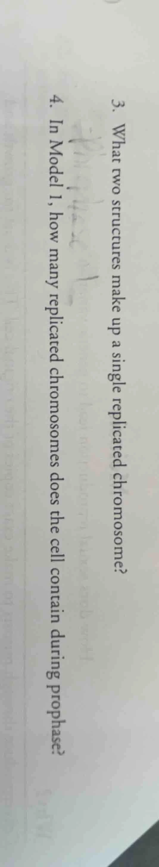 3. what two structures make up a single replicated chromosome? 4. in mo…