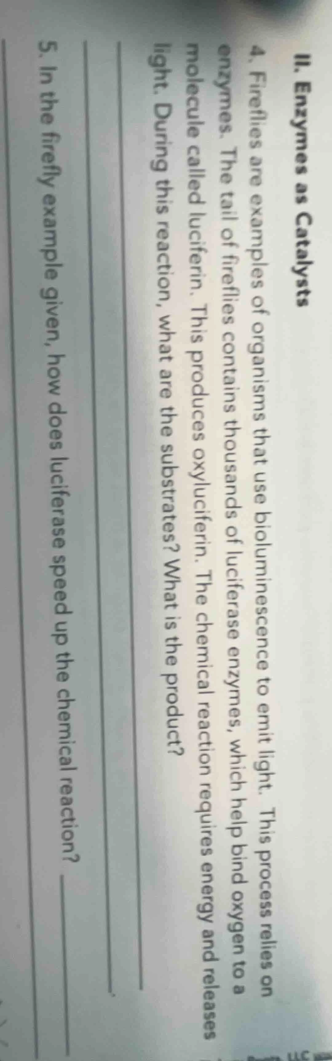ii. enzymes as catalysts 4. fireflies are examples of organisms that us…