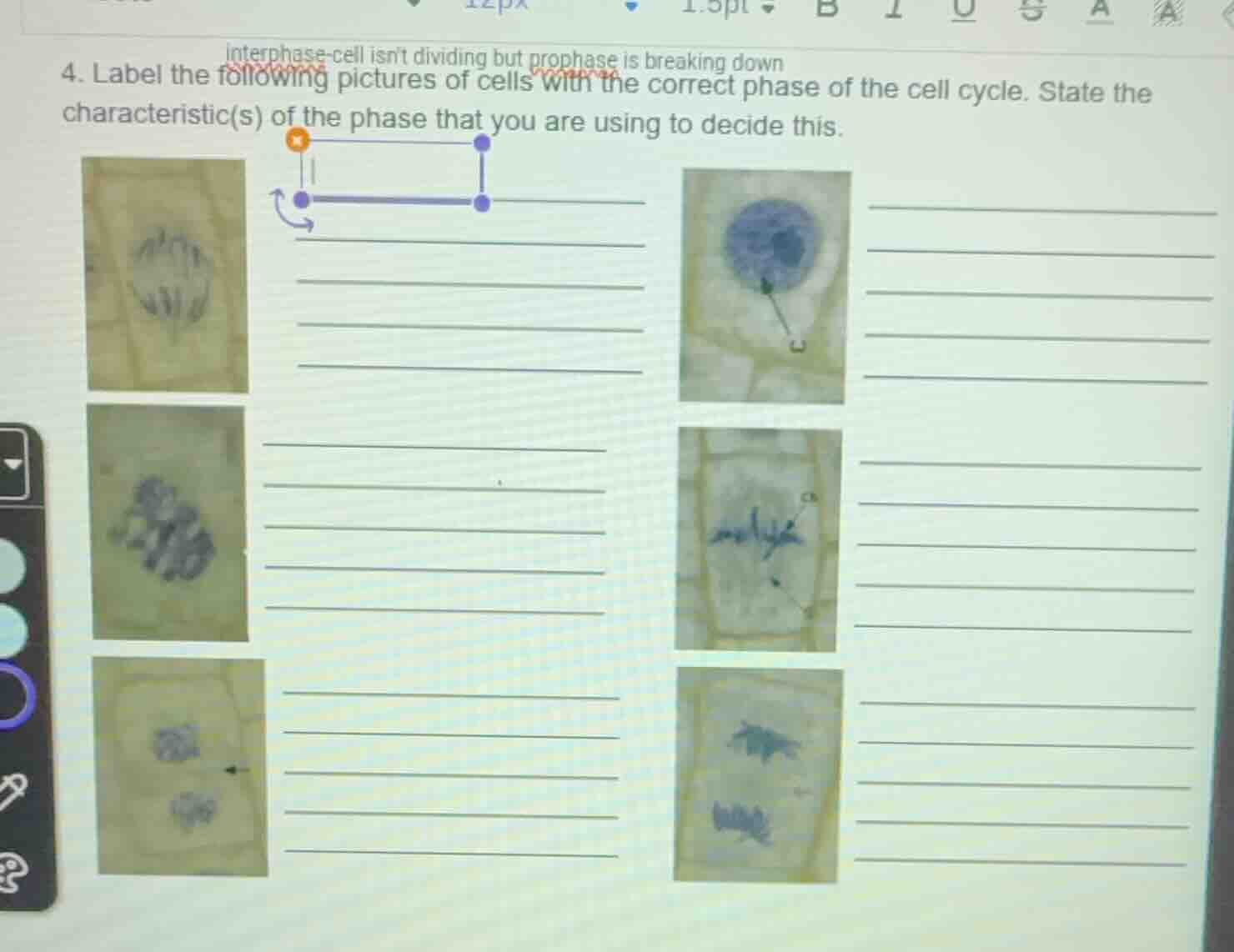 4. label the following pictures of cells with the correct phase of the …