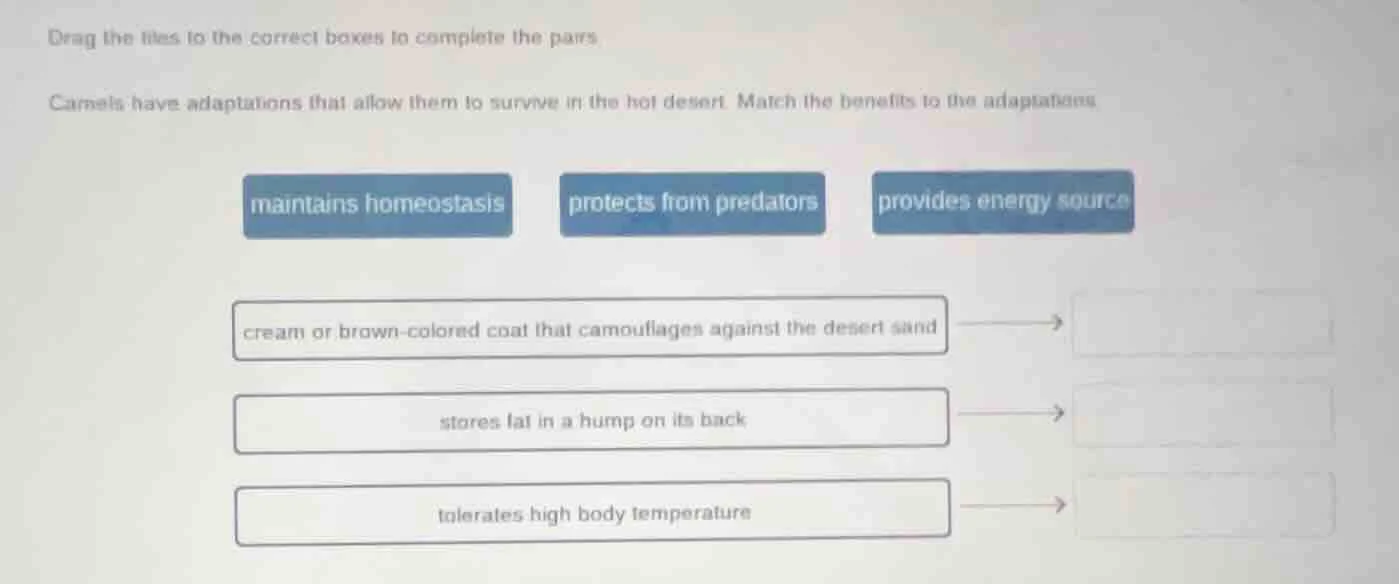 drag the tiles to the correct boxes to complete the pairs. camels have …