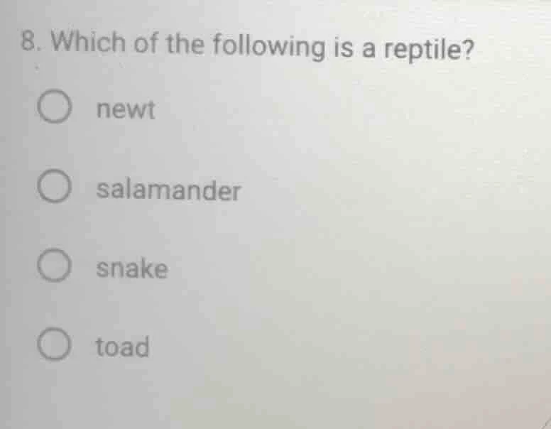 8. which of the following is a reptile? ○ newt ○ salamander ○ snake ○ t…