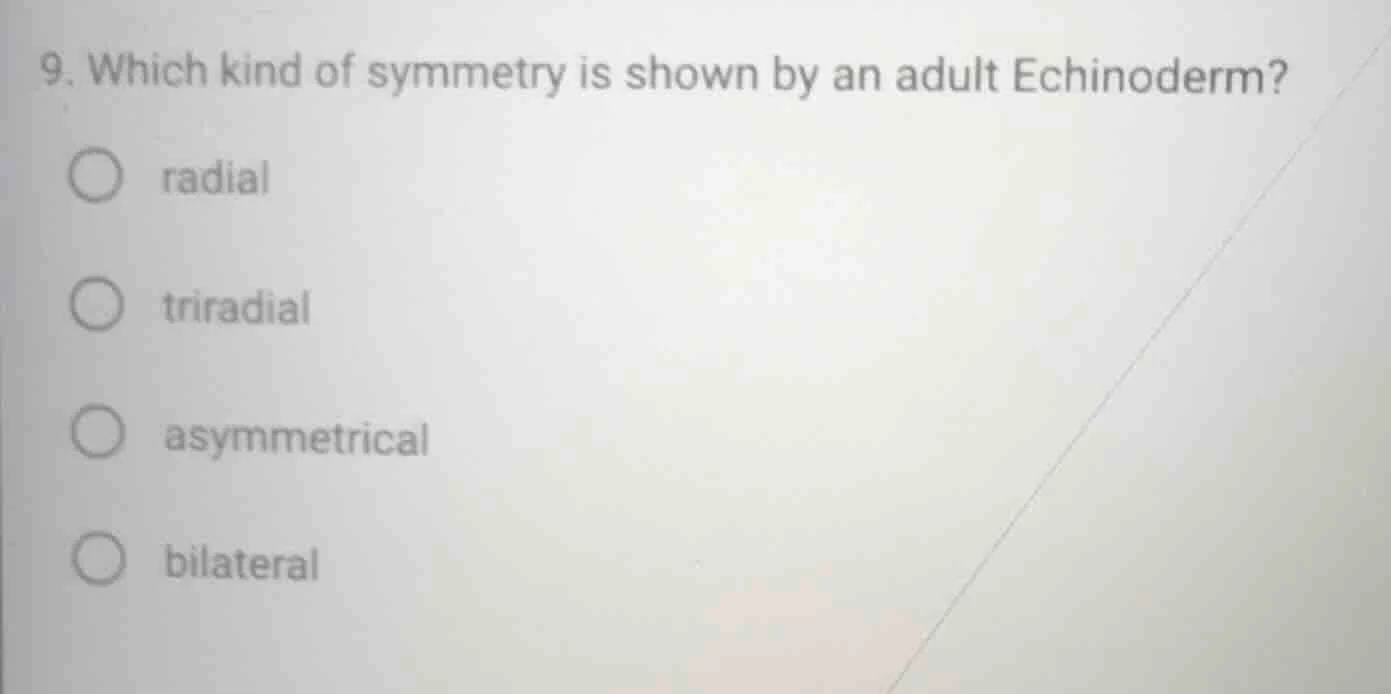 9. which kind of symmetry is shown by an adult echinoderm? radial trira…