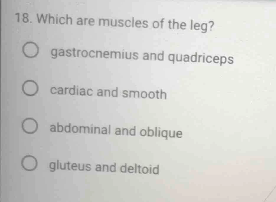 18. which are muscles of the leg? ○ gastrocnemius and quadriceps ○ card…