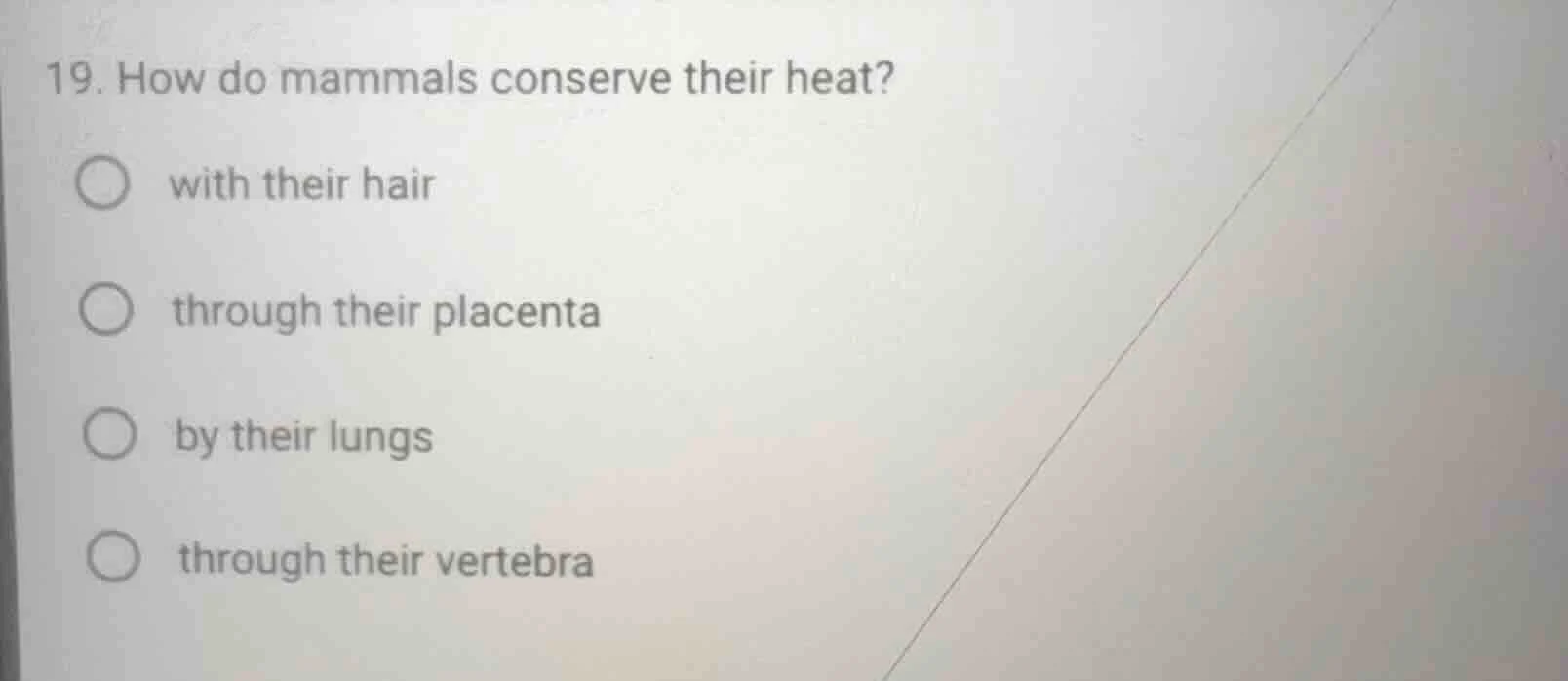 19. how do mammals conserve their heat? ○ with their hair ○ through the…