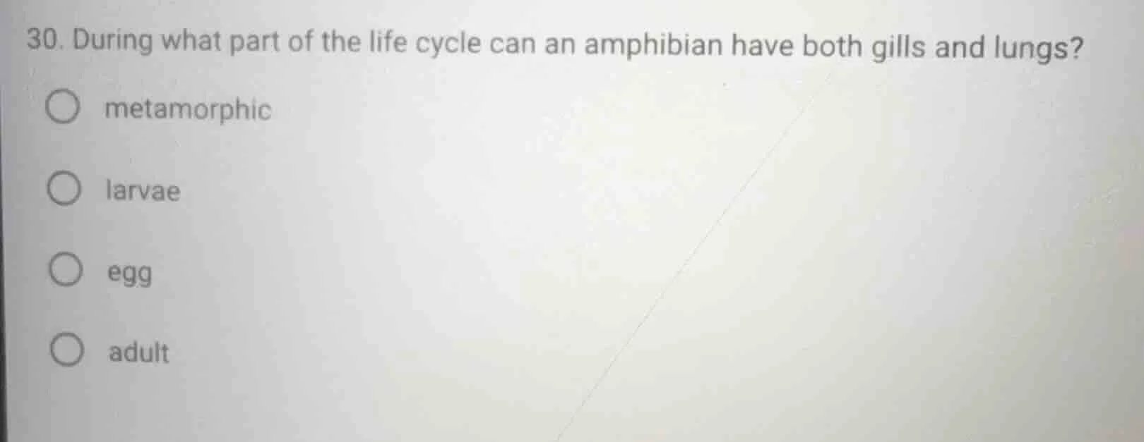 30. during what part of the life cycle can an amphibian have both gills…