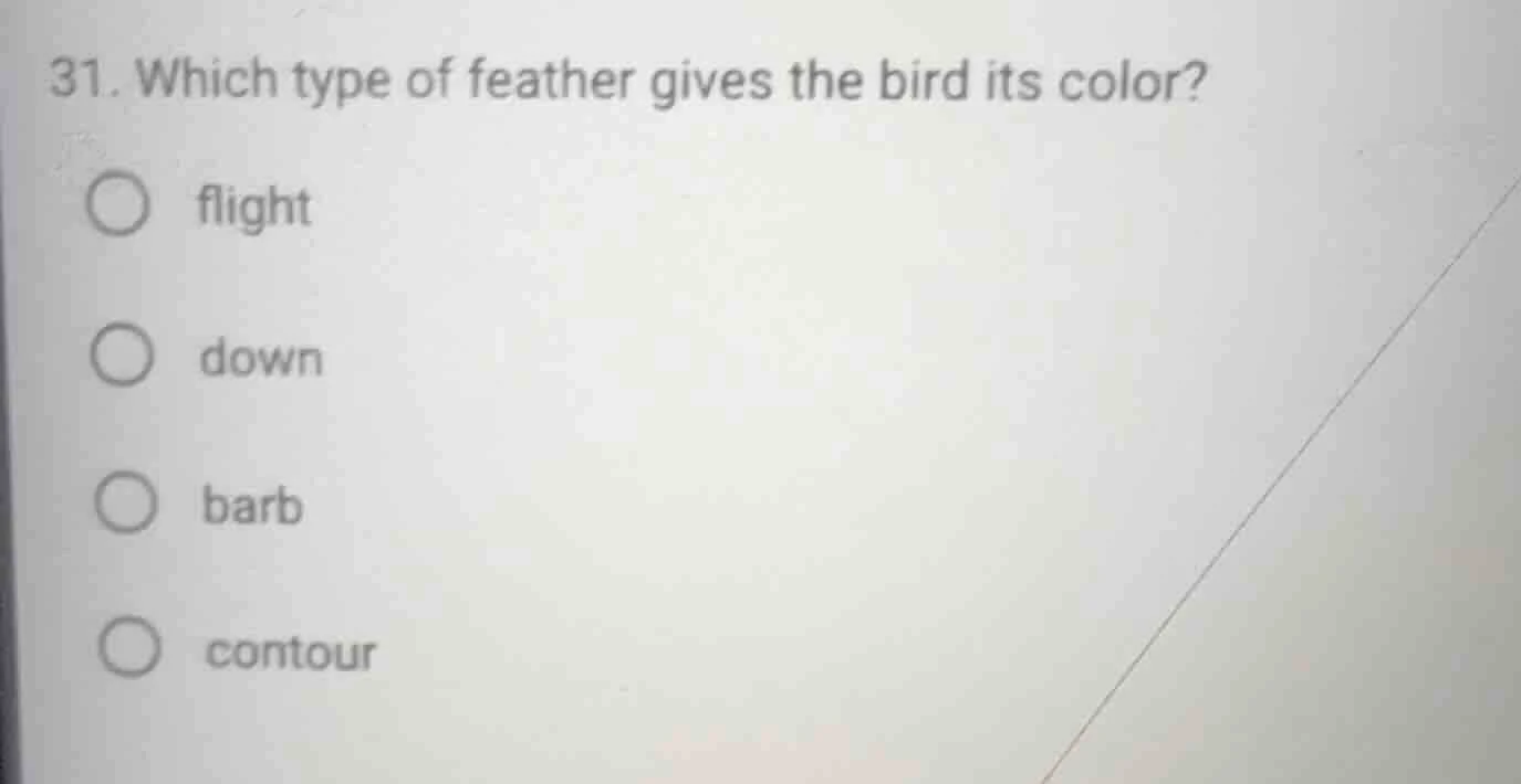 31. which type of feather gives the bird its color? ○ flight ○ down ○ b…