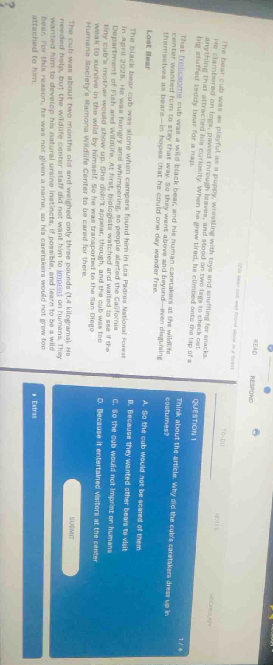 the bear cub was as playful as a puppy, wrestling with toys and snuffli…