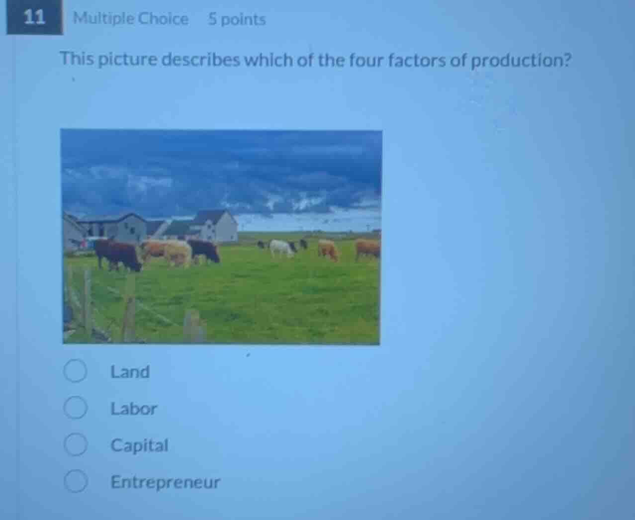11 multiple choice 5 points this picture describes which of the four fa…