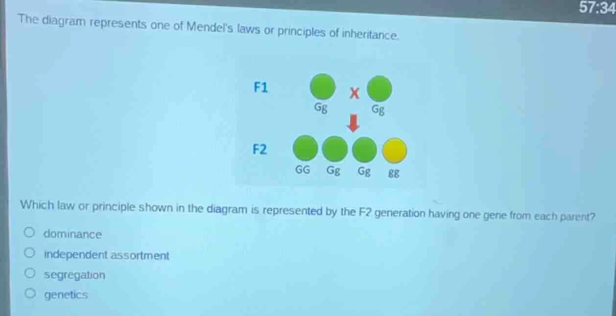 the diagram represents one of mendels laws or principles of inheritance…