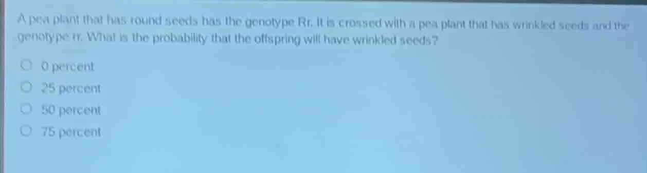 a pea plant that has round seeds has the genotype rr. it is crossed wit…
