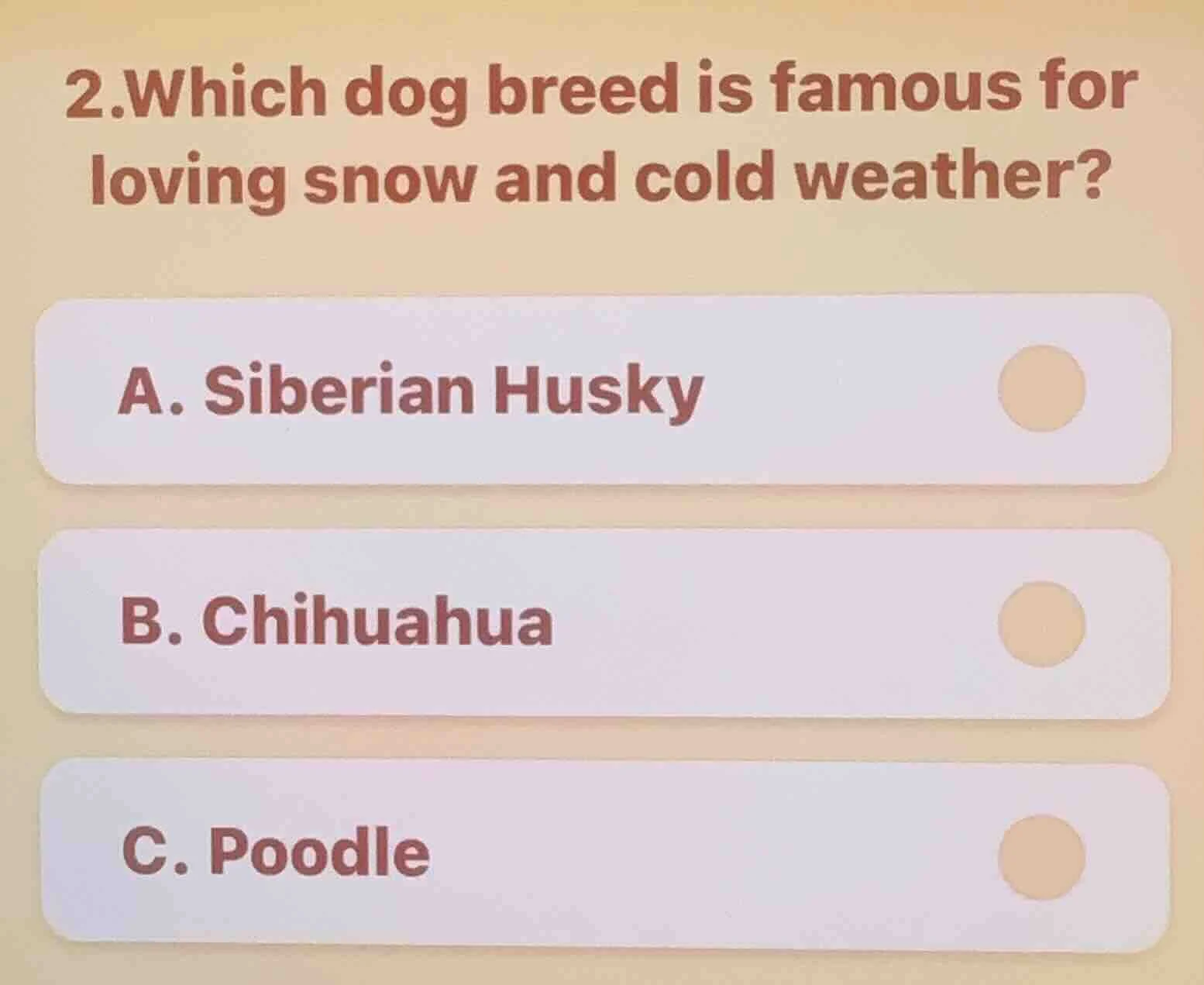 2.which dog breed is famous for loving snow and cold weather? a. siberi…