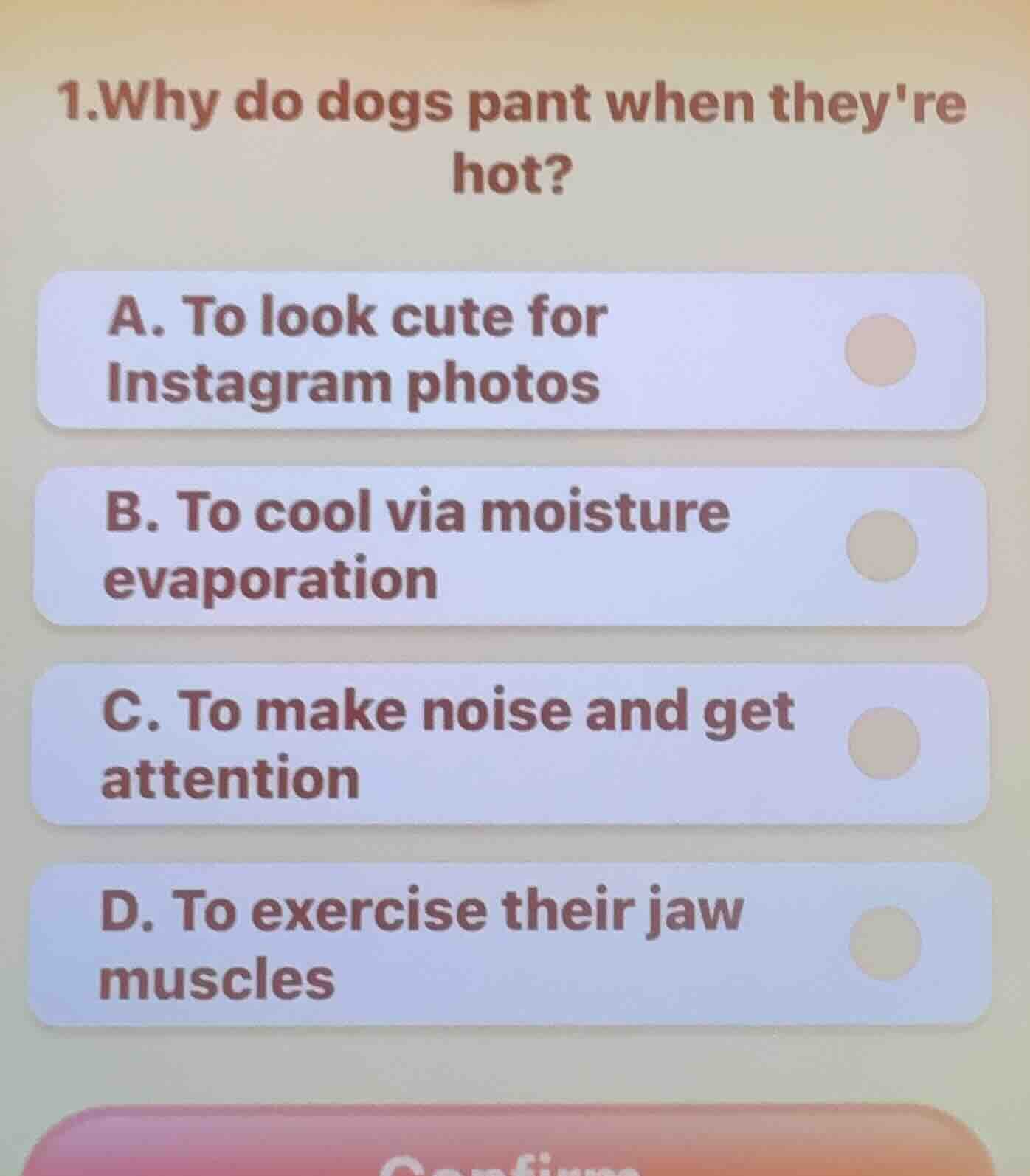 1.why do dogs pant when theyre hot? a. to look cute for instagram photo…
