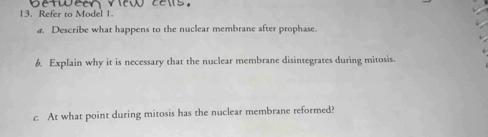 13. refer to model 1. a. describe what happens to the nuclear membrane …