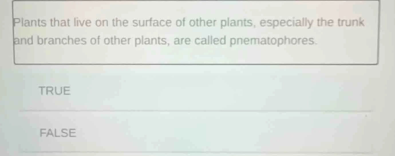 plants that live on the surface of other plants, especially the trunk a…