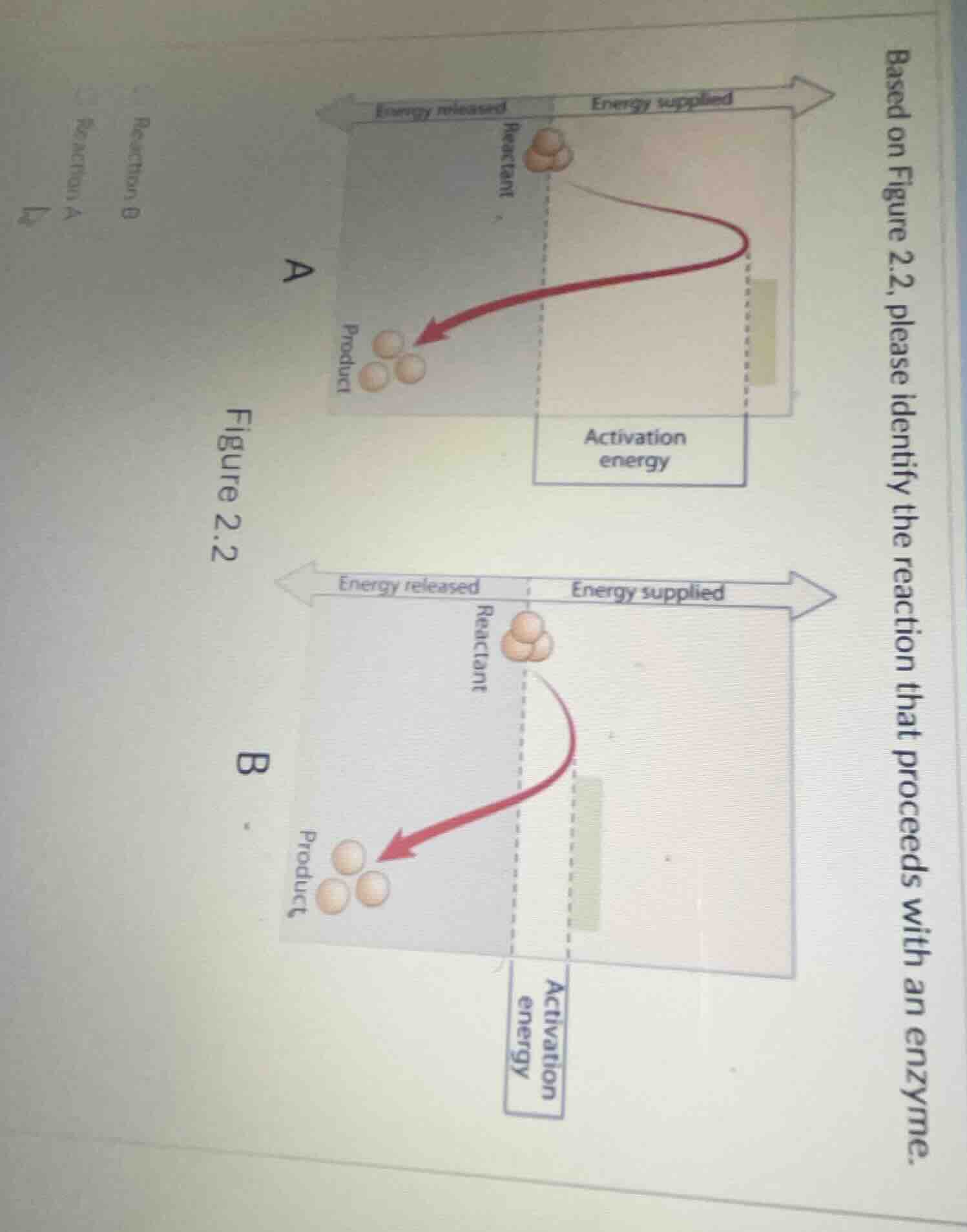 based on figure 2.2, please identify the reaction that proceeds with an…