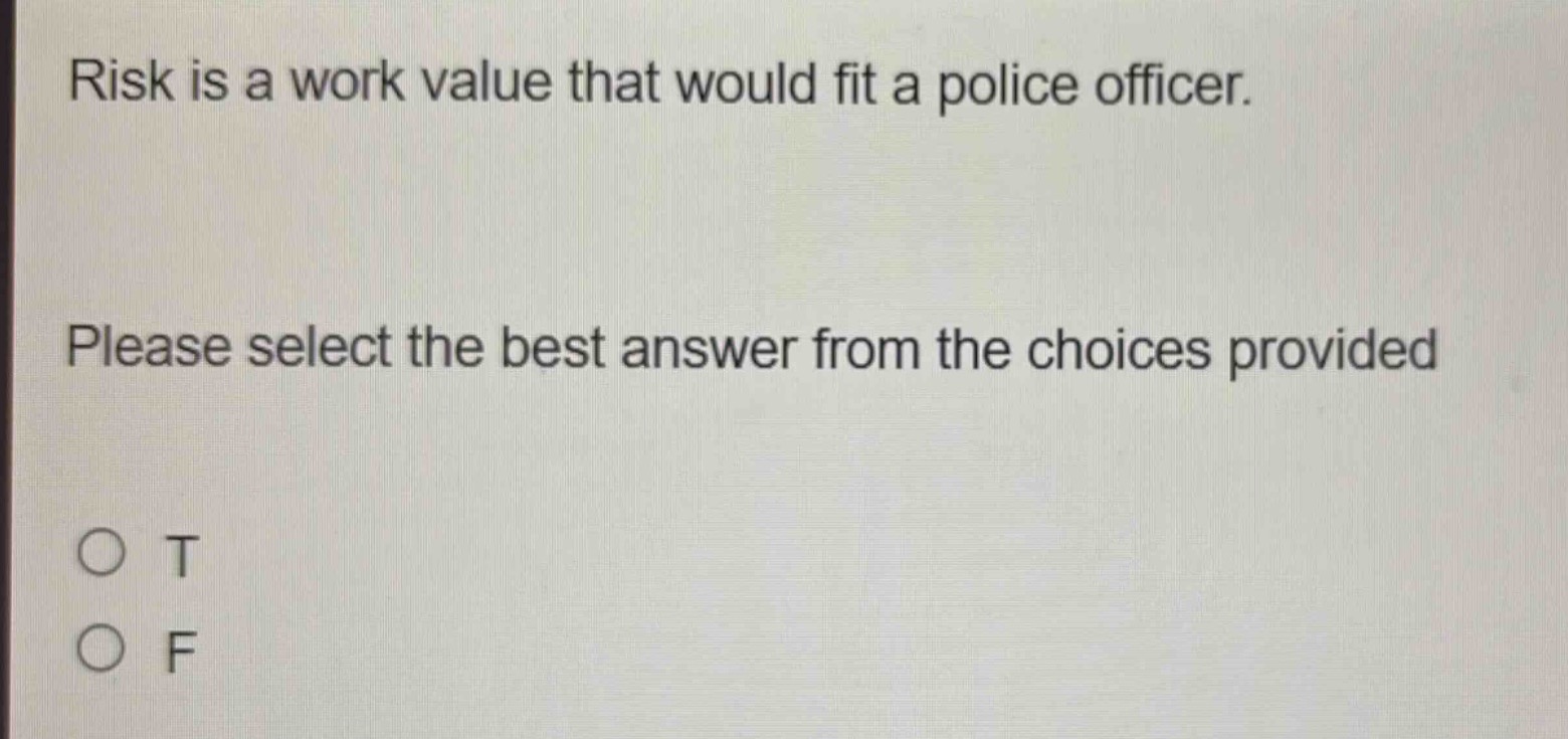 risk is a work value that would fit a police officer. please select the…