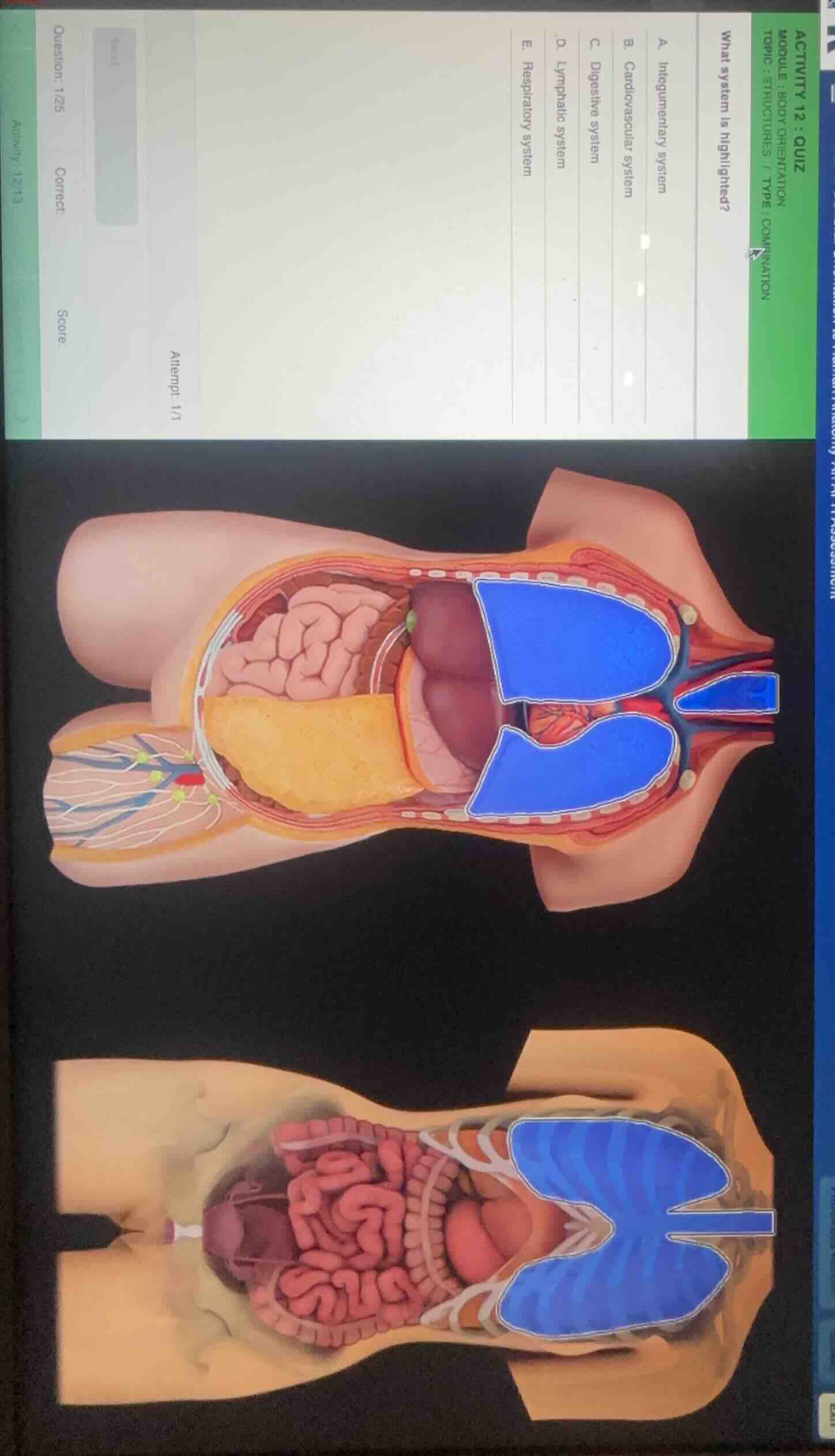 activity 12 : quiz module : body orientation topic : structures / type …