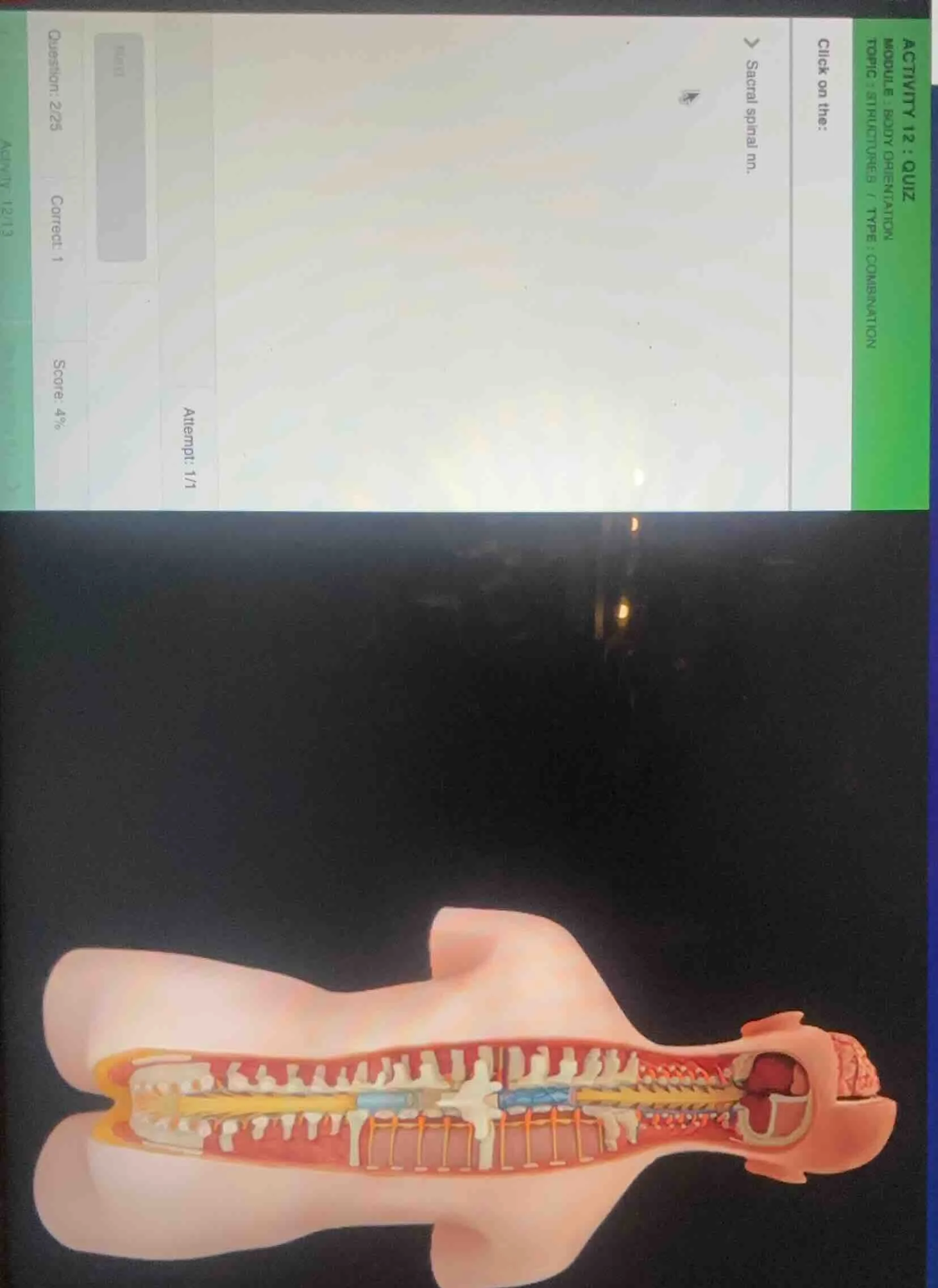 activity 12 : quiz module : body orientation topic : structures / type …