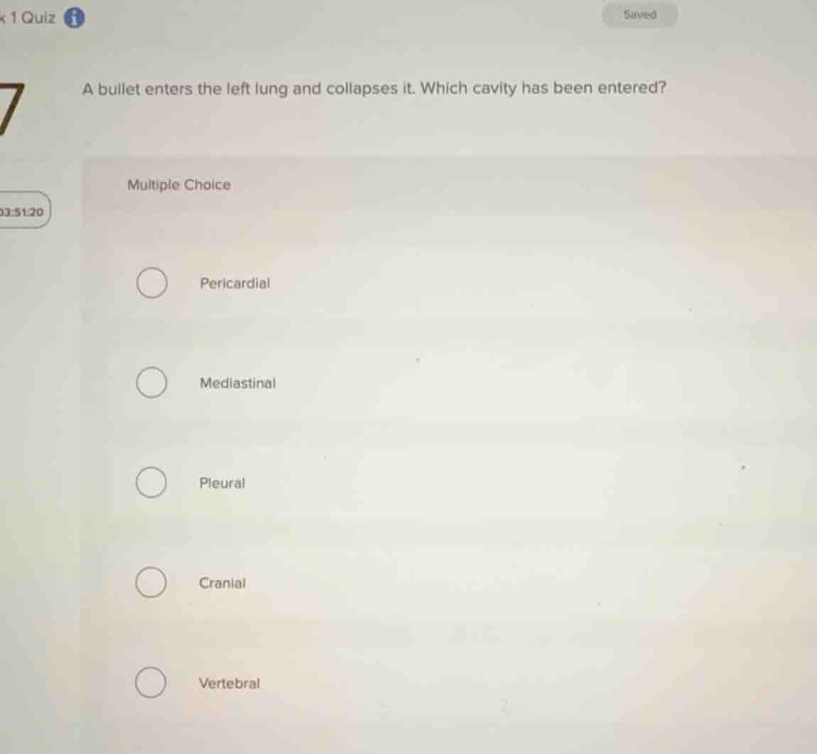 a bullet enters the left lung and collapses it. which cavity has been e…