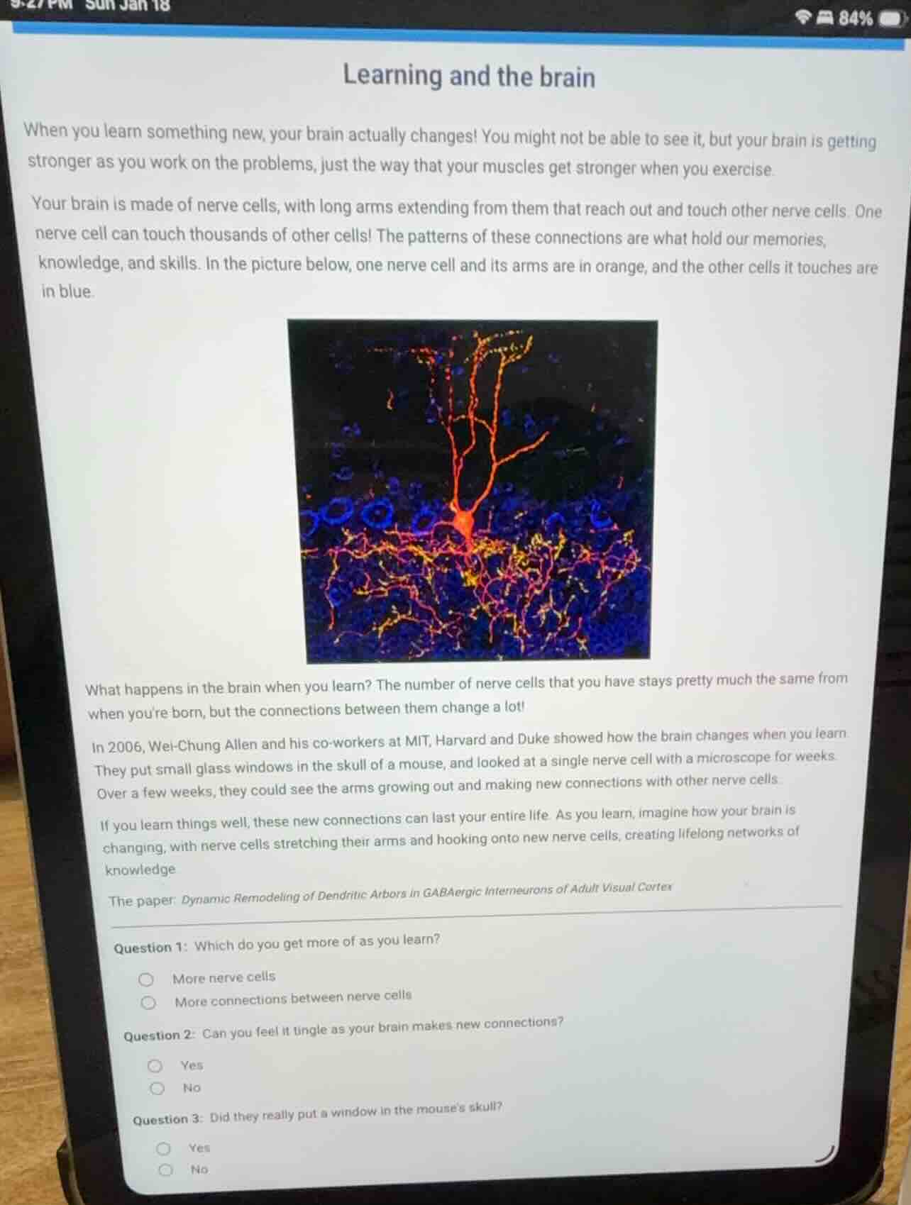 learning and the brain when you learn something new, your brain actuall…