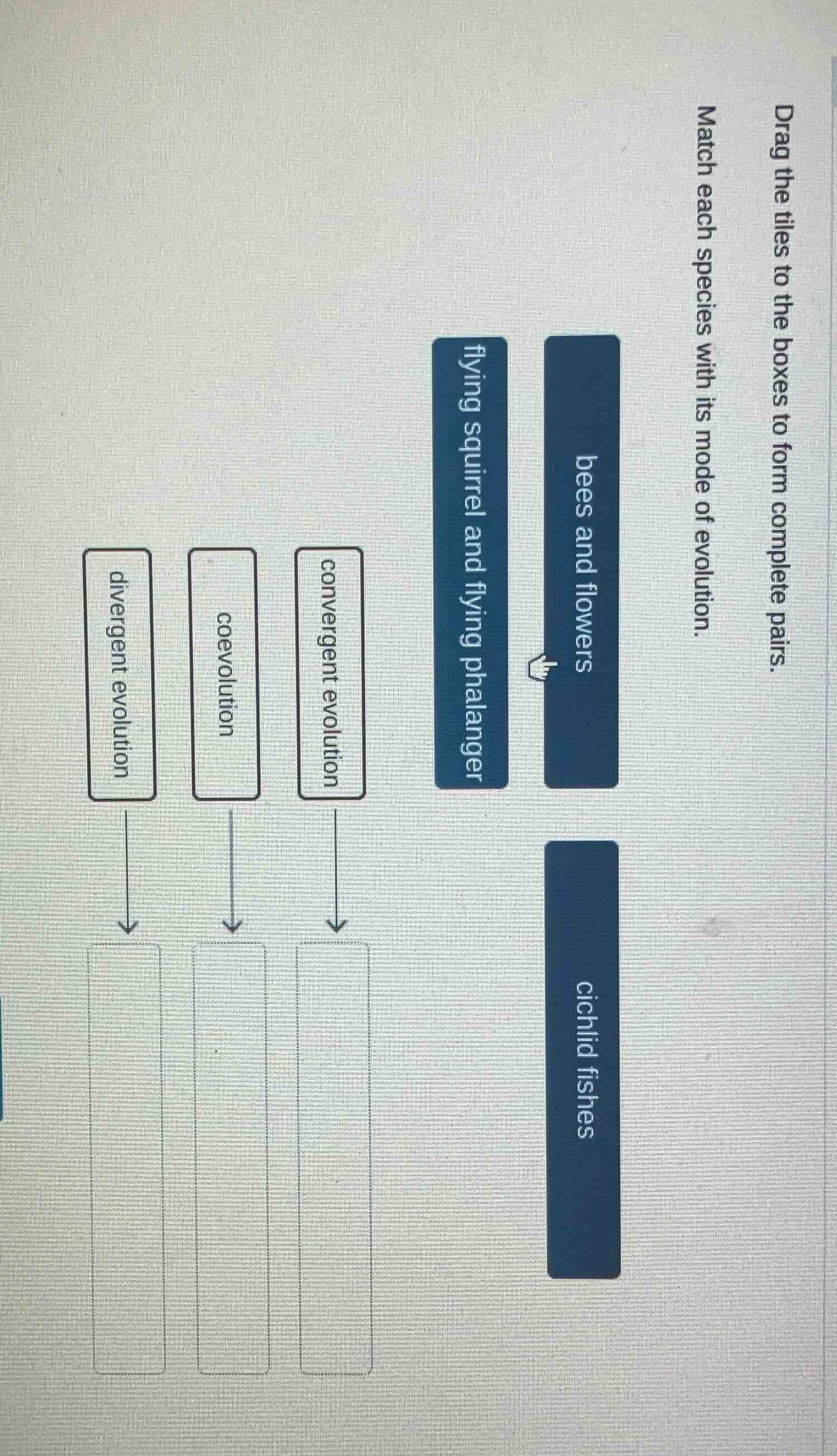 drag the tiles to the boxes to form complete pairs. match each species …