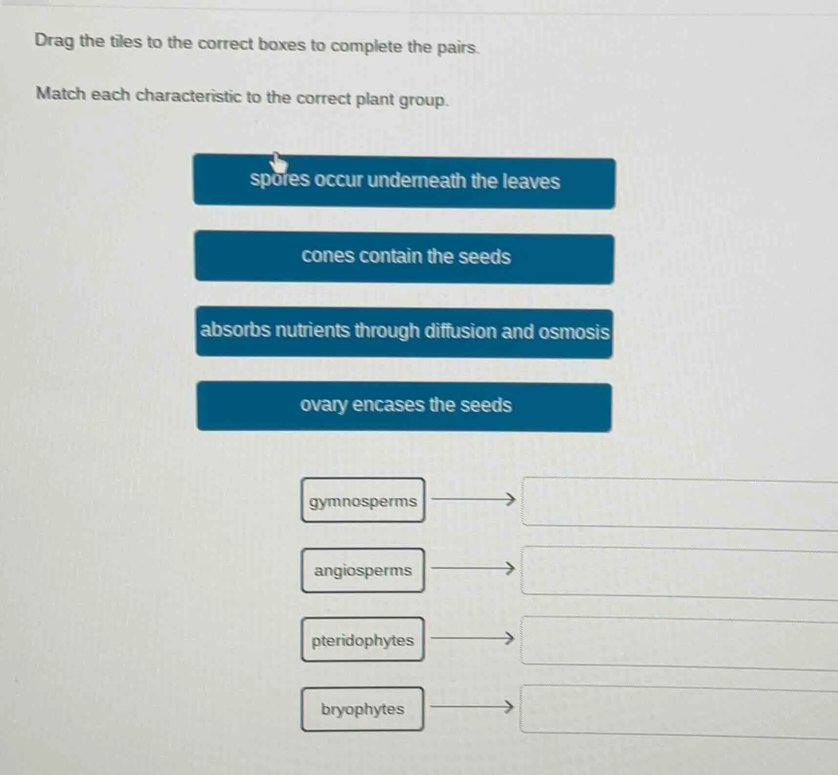 drag the tiles to the correct boxes to complete the pairs. match each c…