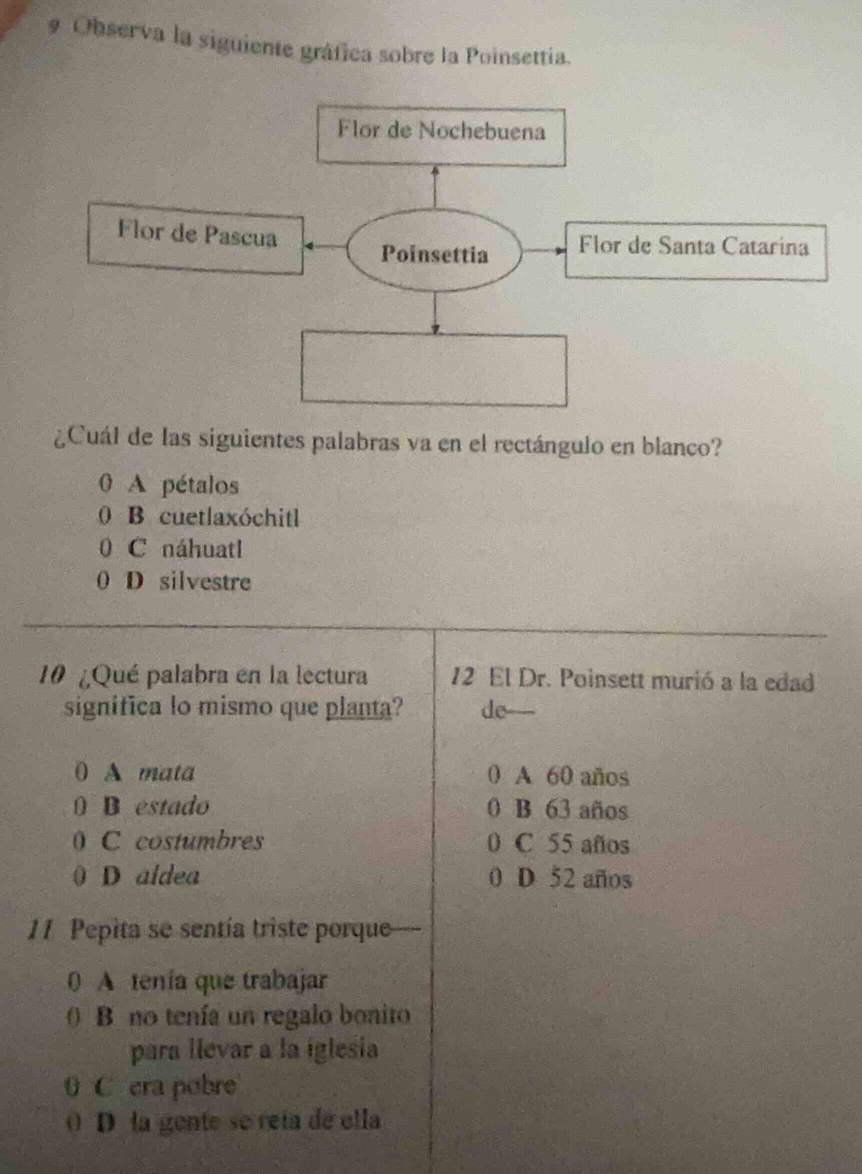 9 observa la siguiente gráfica sobre la poinsettia. ¿cuál de las siguie…