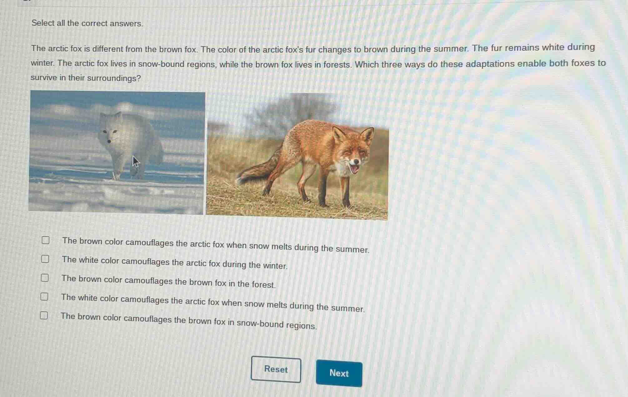 select all the correct answers. the arctic fox is different from the br…