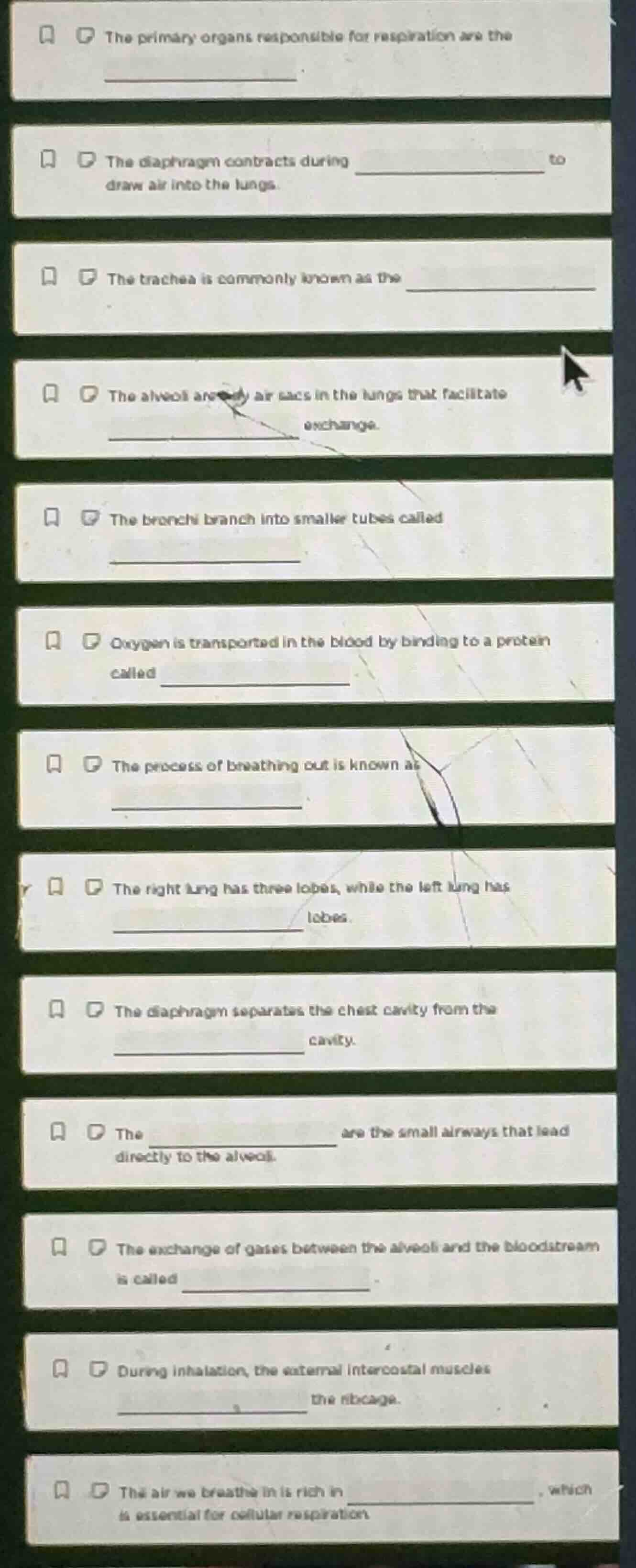 the primary organs responsible for respiration are the __________. the …