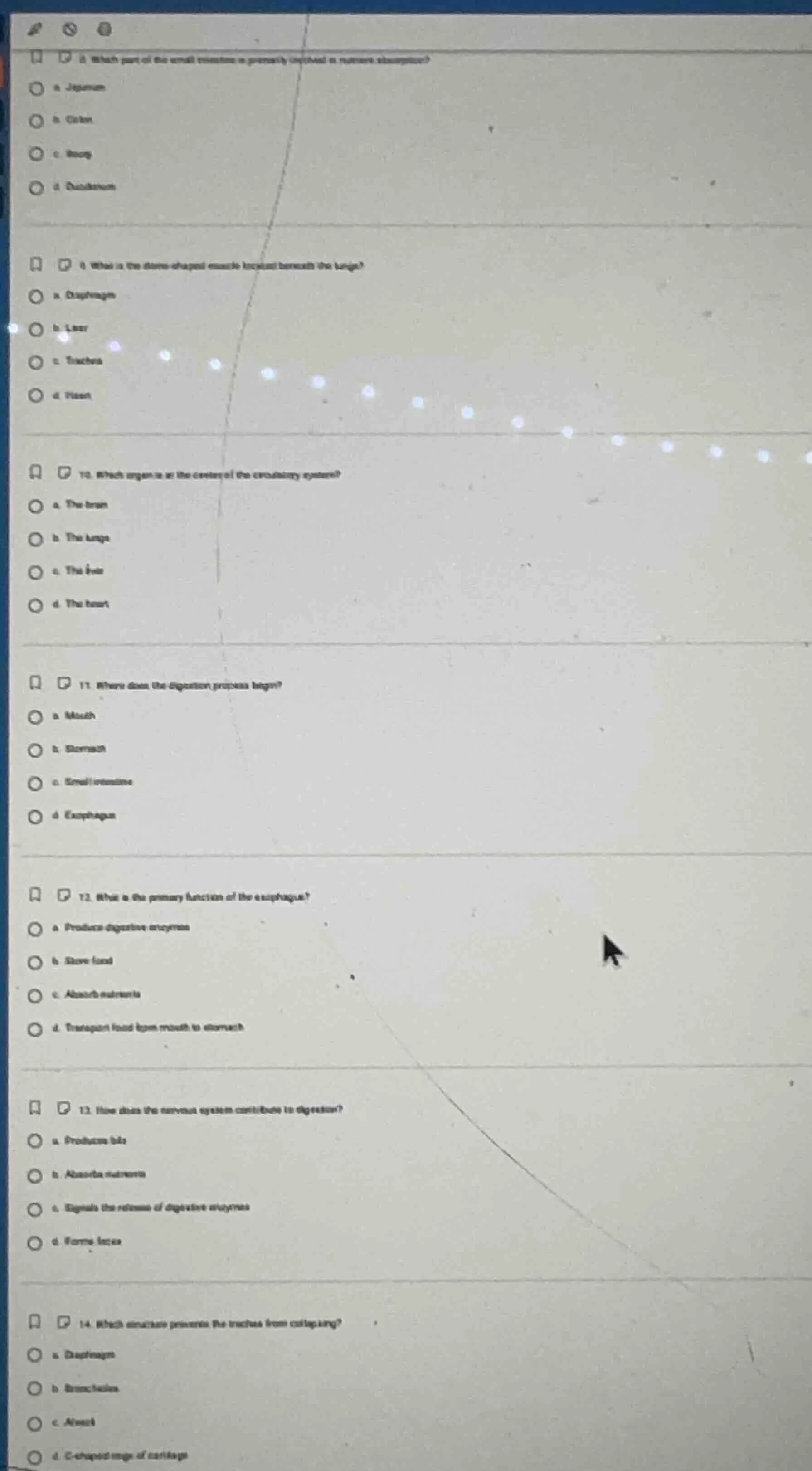 8. which part of the small intestine is primarily involved in nutrient …