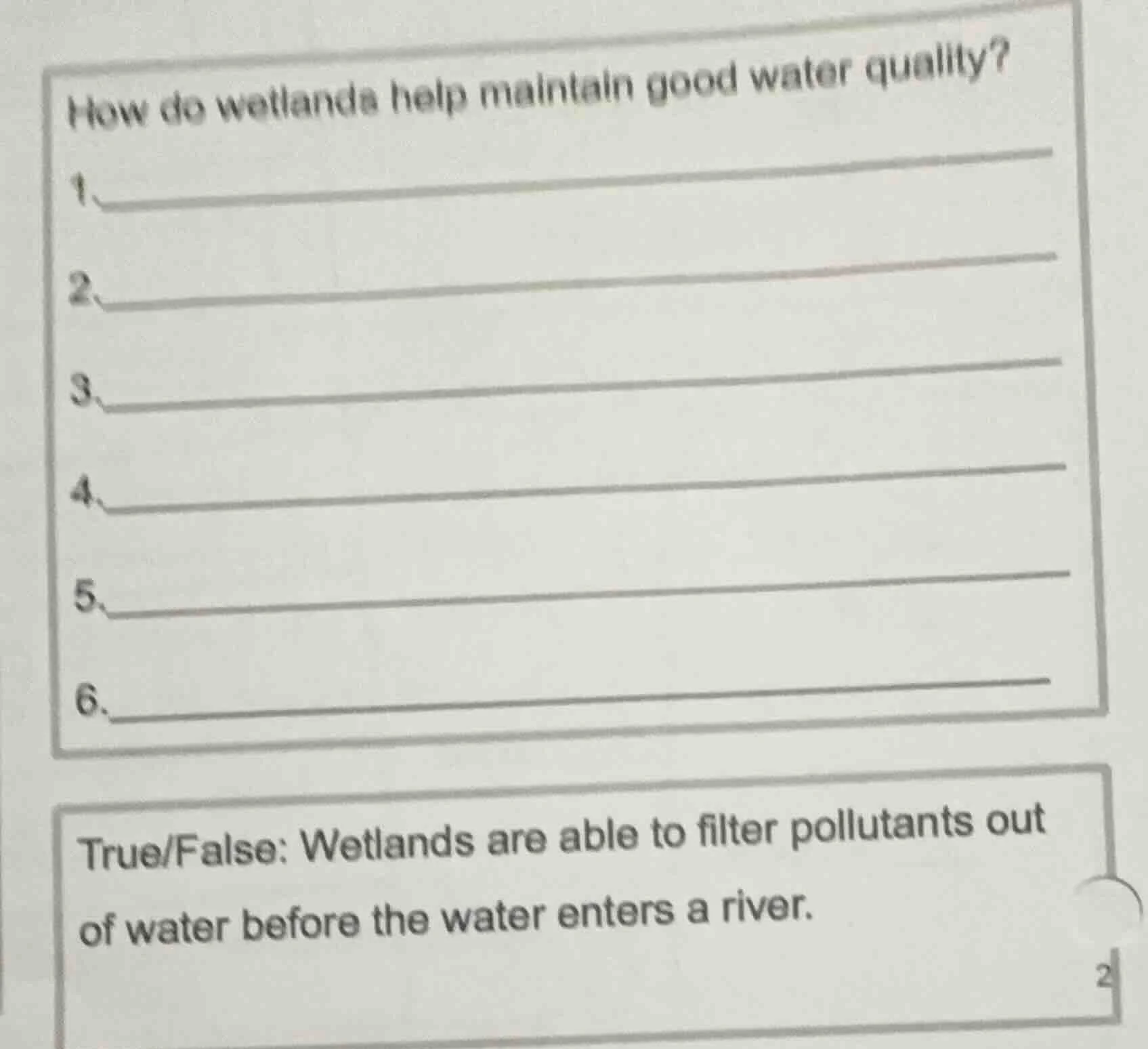 how do wetlands help maintain good water quality? 1. 2. 3. 4. 5. 6. tru…