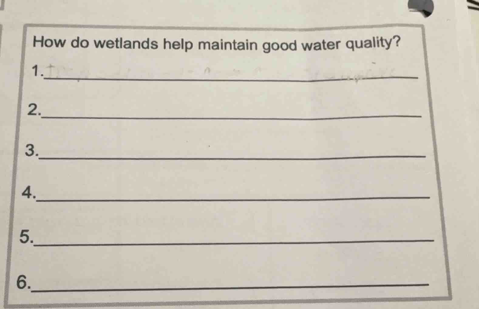 how do wetlands help maintain good water quality? 1. 2. 3. 4. 5. 6.