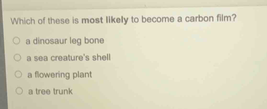 which of these is most likely to become a carbon film? a dinosaur leg b…