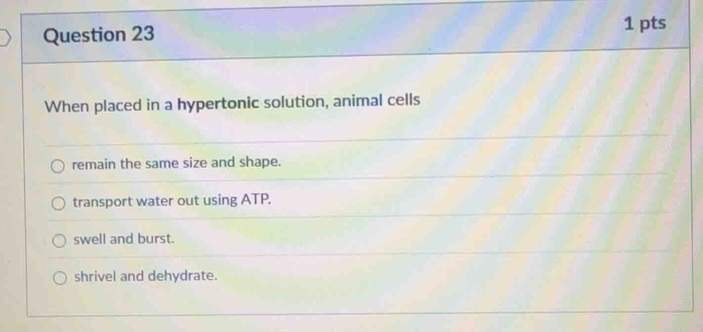 question 23 1 pts when placed in a hypertonic solution, animal cells re…