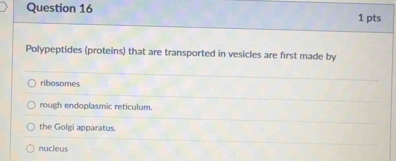 question 16 1 pts polypeptides (proteins) that are transported in vesic…