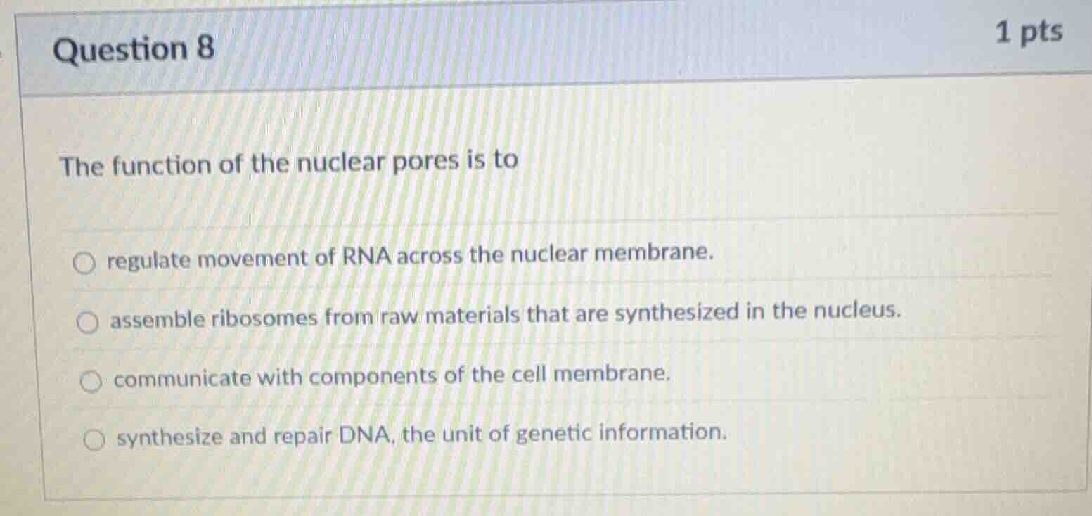 question 8 1 pts the function of the nuclear pores is to regulate movem…