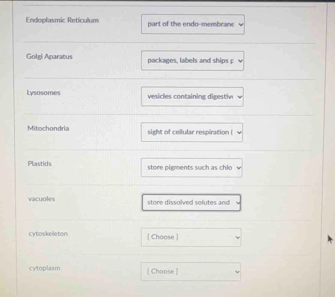 endoplasmic reticulum part of the endo - membrane golgi apparatus packa…