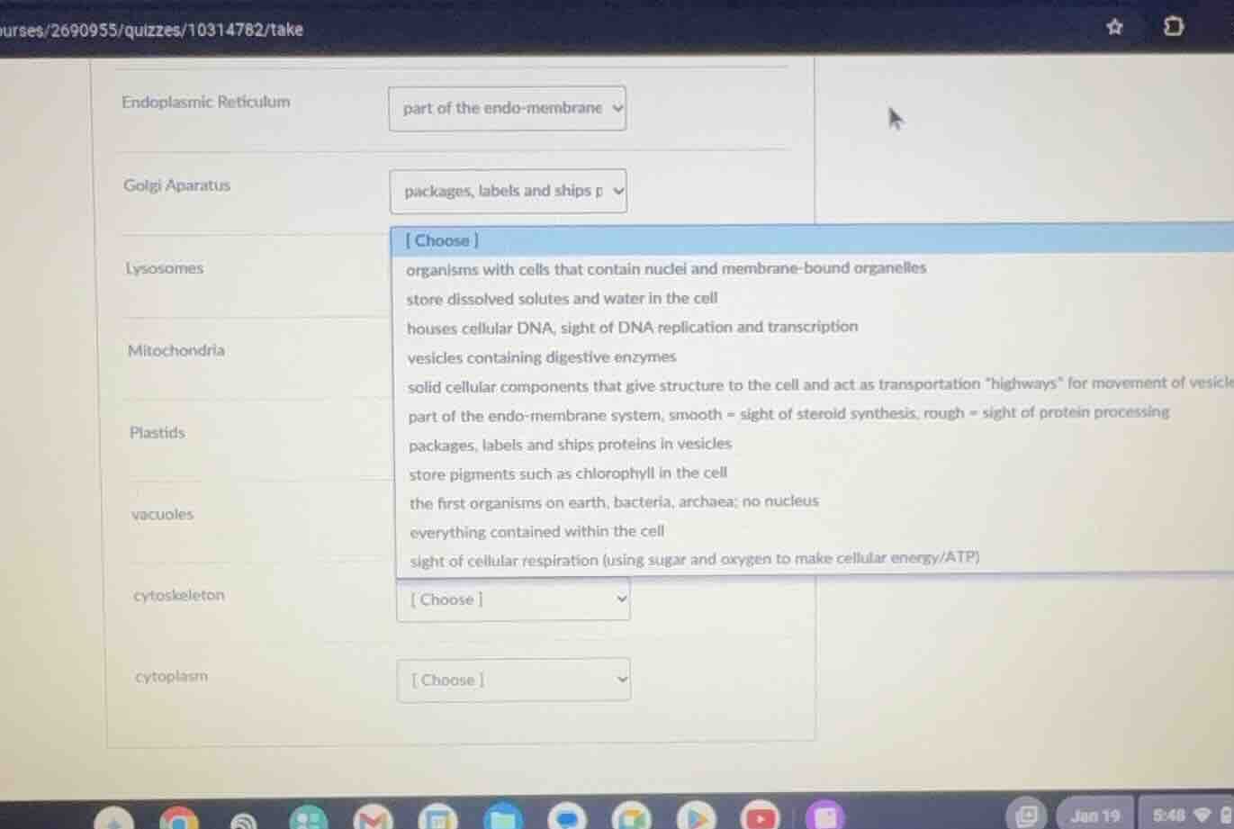 endoplasmic reticulum part of the endo - membrane golgi apparatus packa…