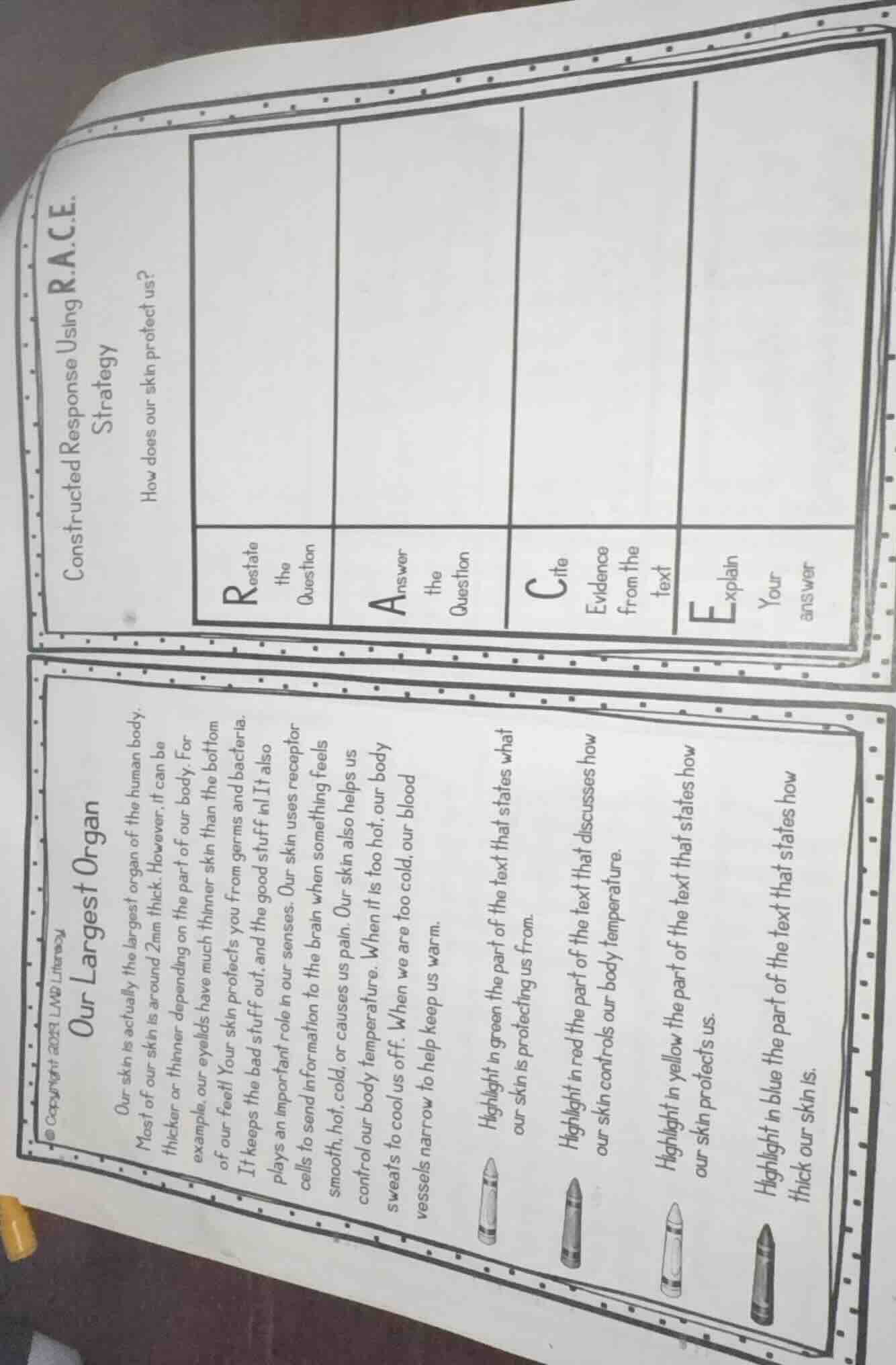 constructed response using r.a.c.e. strategy how does our skin protect …
